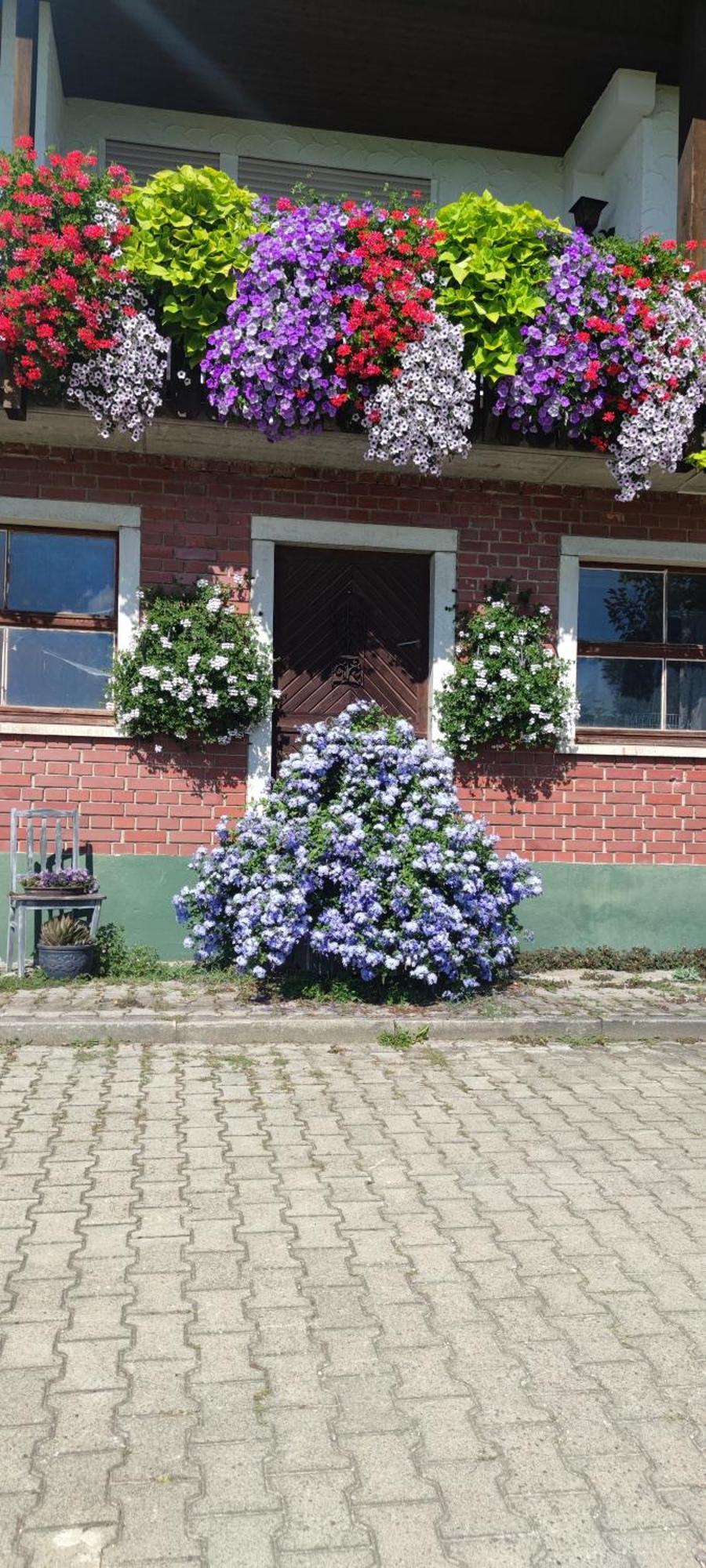 Gaestehaus Fechtig Hergensweiler Bagian luar foto