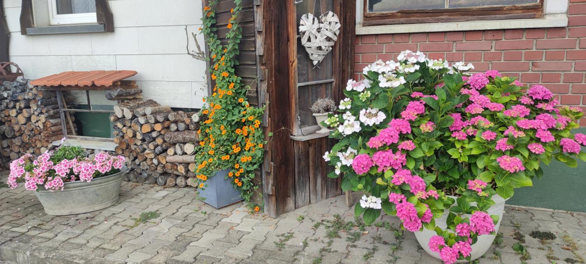 Gaestehaus Fechtig Hergensweiler Bagian luar foto
