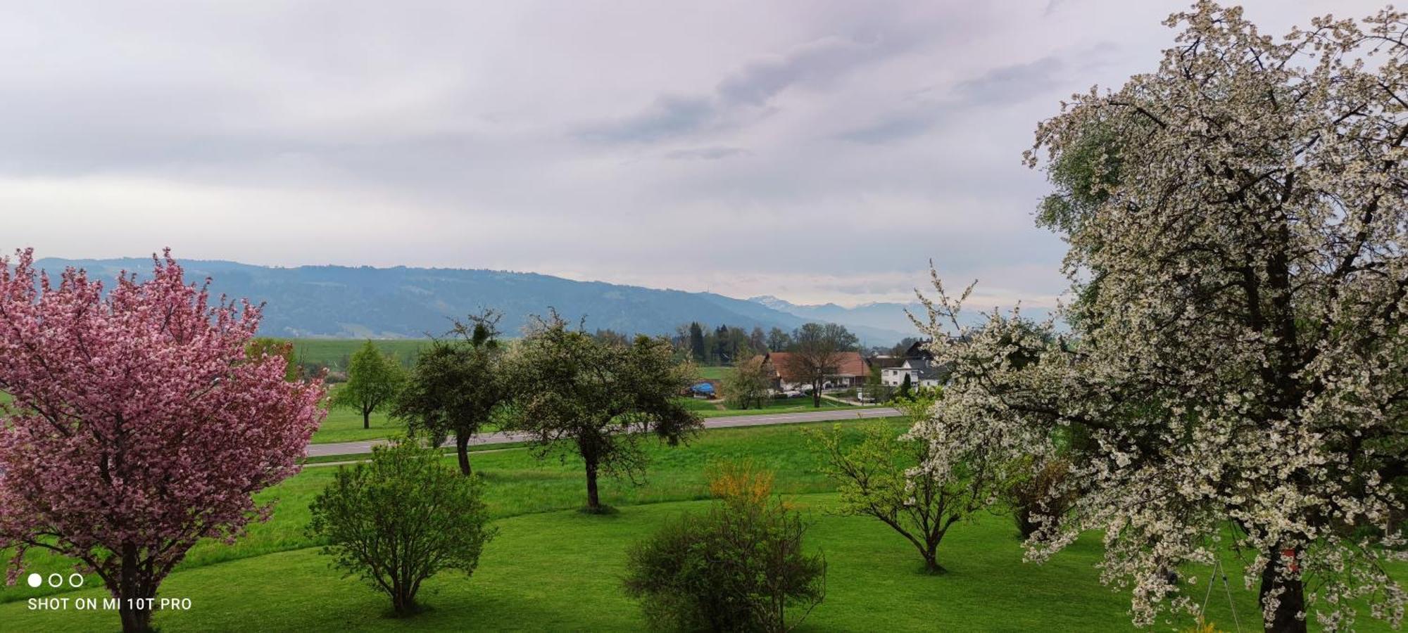 Gaestehaus Fechtig Hergensweiler Bagian luar foto